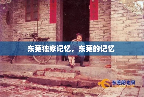 东莞独家记忆,东莞的记忆