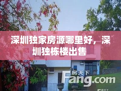 深圳独家房源哪里好,深圳独栋楼出售