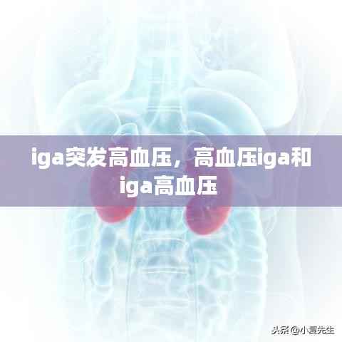 iga突发高血压,高血压iga和iga高血压