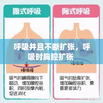 呼吸并且不断扩张,呼吸时胸腔扩张
