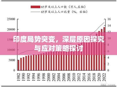 虚张声势 第4页