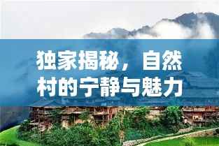 独家揭秘,自然村的宁静与魅力简介