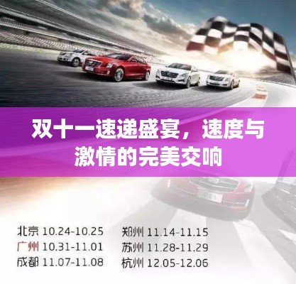 双十一速递盛宴,速度与激情的完美交响