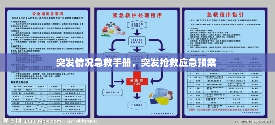 突发情况急救手册,突发抢救应急预案