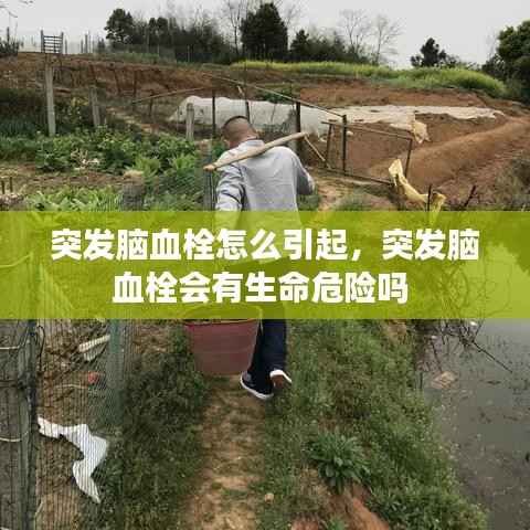 突发脑血栓怎么引起,突发脑血栓会有生命危险吗
