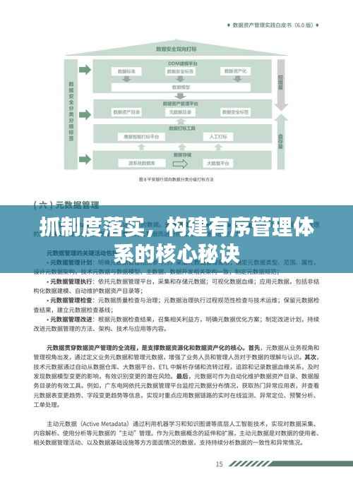抓制度落实,构建有序管理体系的核心秘诀