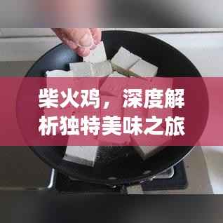 柴火鸡,深度解析独特美味之旅