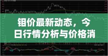 钼价最新动态,今日行情分析与价格消息一网打尽