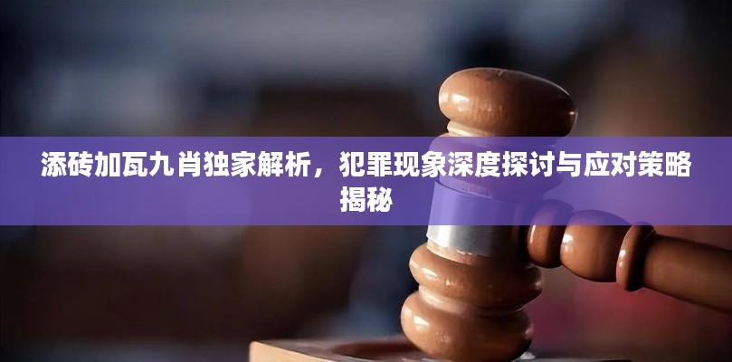 添砖加瓦九肖独家解析,犯罪现象深度探讨与应对策略揭秘