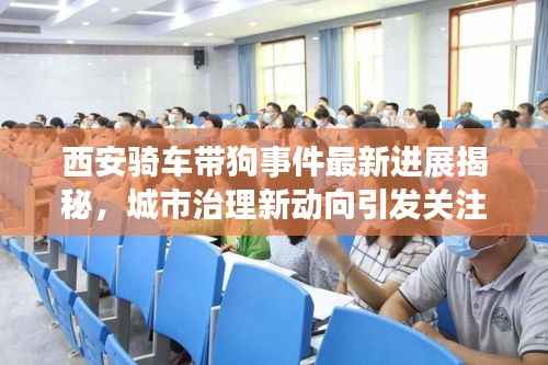 西安骑车带狗事件最新进展揭秘,城市治理新动向引发关注