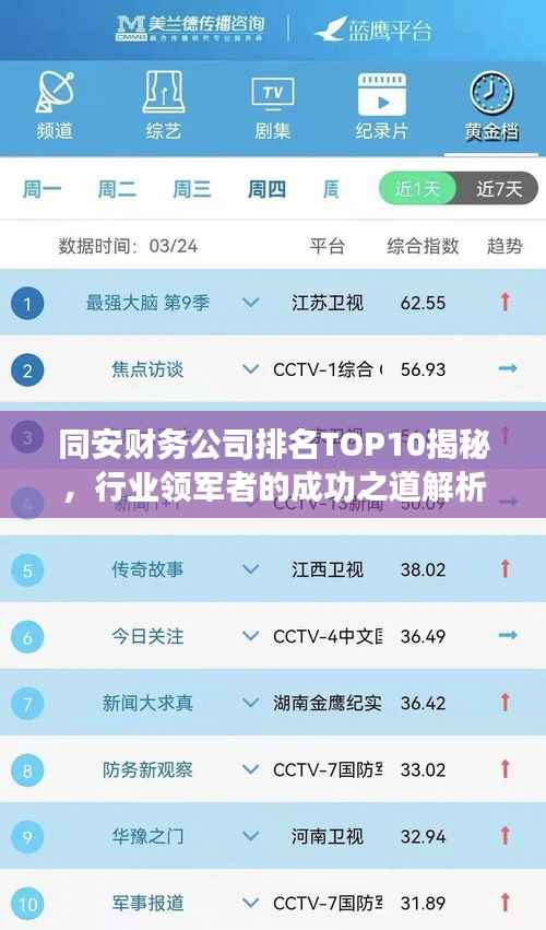 同安财务公司排名TOP10揭秘,行业领军者的成功之道解析