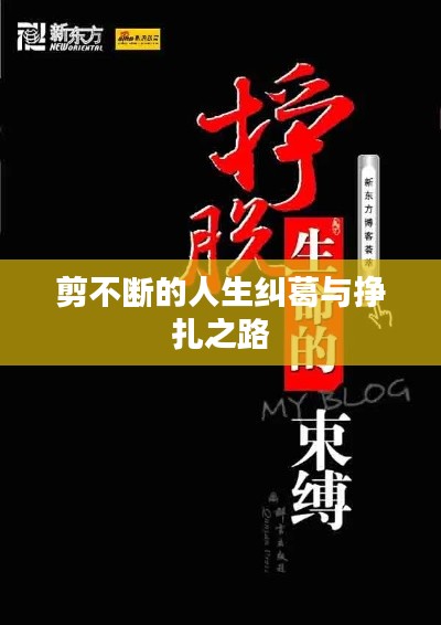 剪不断的人生纠葛与挣扎之路