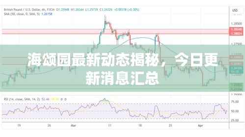 海颂园最新动态揭秘,今日更新消息汇总