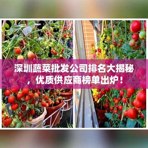 深圳蔬菜批发公司排名大揭秘,优质供应商榜单出炉!