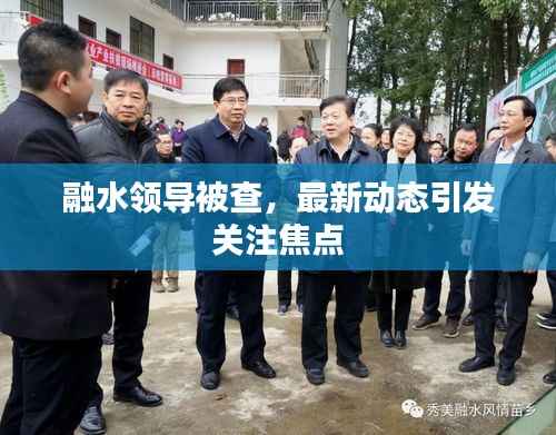 融水领导被查,最新动态引发关注焦点