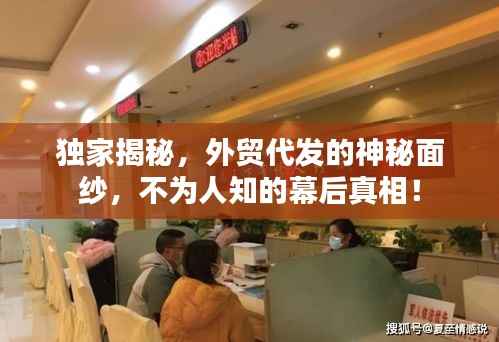 独家揭秘，外贸代发的神秘面纱，不为人知的幕后真相！