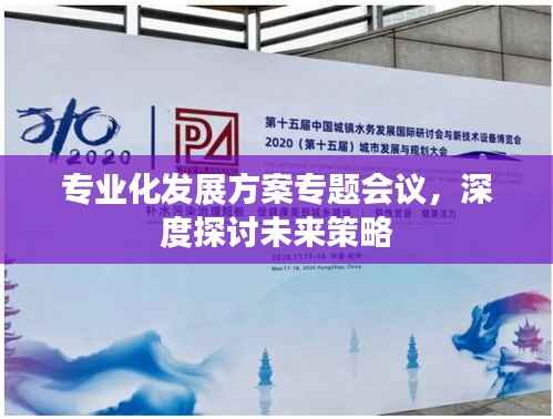 专业化发展方案专题会议，深度探讨未来策略
