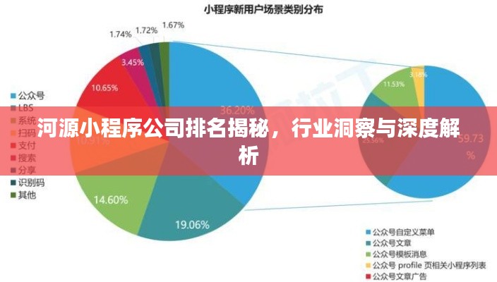 河源小程序公司排名揭秘,行业洞察与深度解析
