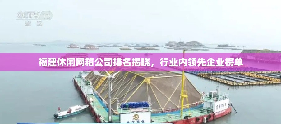 福建休闲网箱公司排名揭晓,行业内领先企业榜单