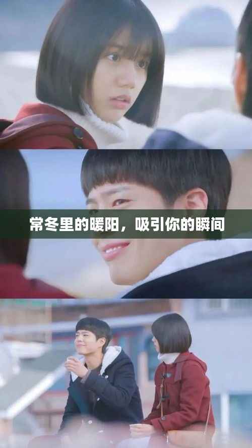 常冬里的暖阳,吸引你的瞬间