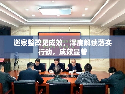 巡察整改见成效,深度解读落实行动,成效显著