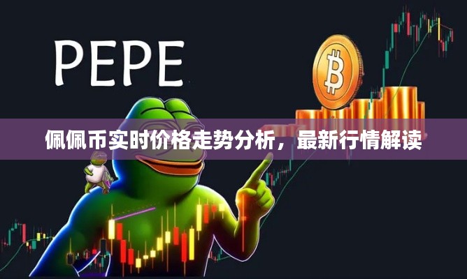 佩佩币实时价格走势分析,最新行情解读
