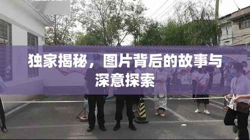独家揭秘,图片背后的故事与深意探索