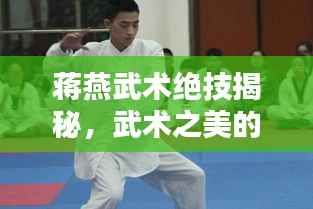 蒋燕武术绝技揭秘,武术之美的独特魅力视频欣赏