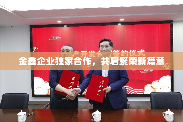 金鑫企业独家合作,共启繁荣新篇章