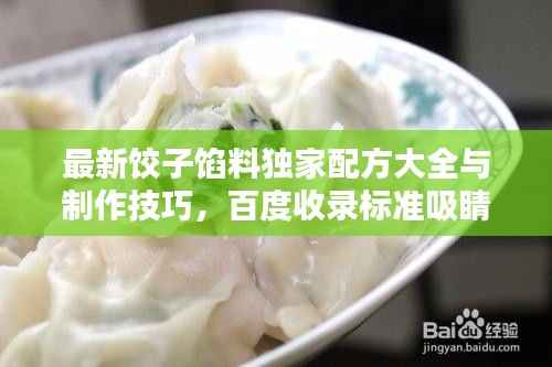 最新饺子馅料独家配方大全与制作技巧,百度收录标准吸睛标题