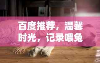 飞燕化龙 第3页