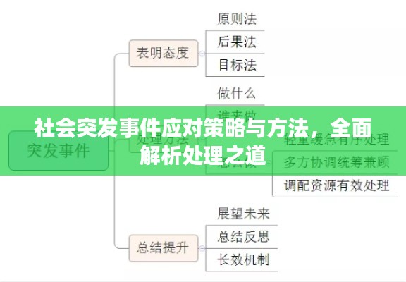 社会突发事件应对策略与方法,全面解析处理之道