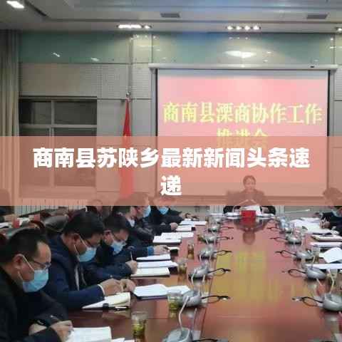 商南县苏陕乡最新新闻头条速递