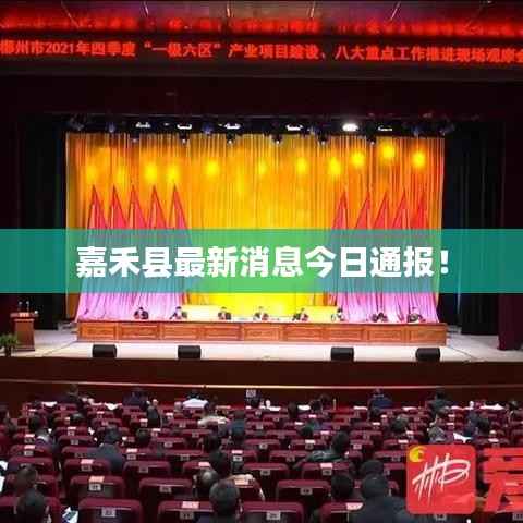 嘉禾县最新消息今日通报!