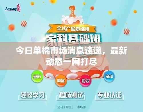 今日单棉市场消息速递,最新动态一网打尽