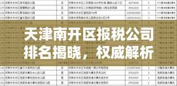 天津南开区报税公司排名揭晓,权威解析助你了解行业佼佼者