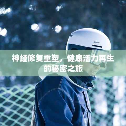 神经修复重塑,健康活力再生的秘密之旅