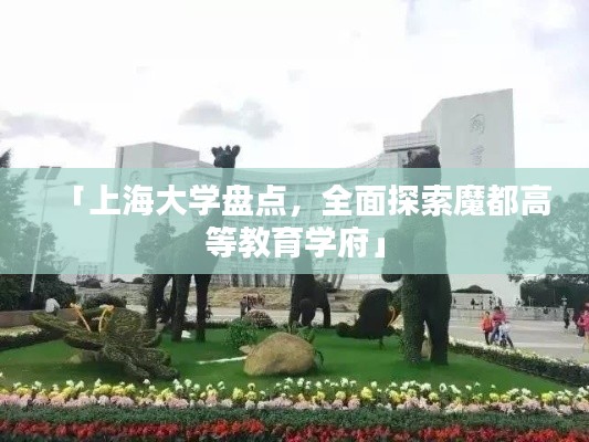 「上海大学盘点,全面探索魔都高等教育学府」