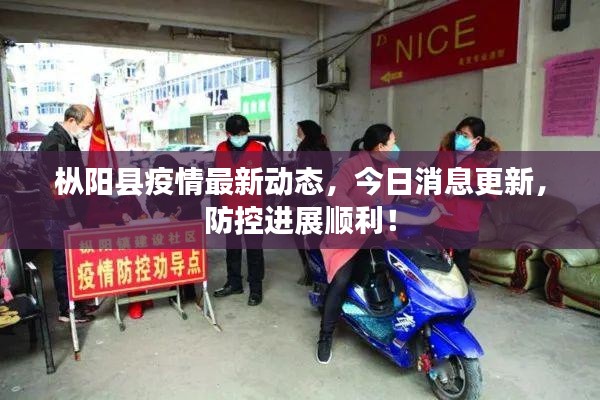 枞阳县疫情最新动态,今日消息更新,防控进展顺利!