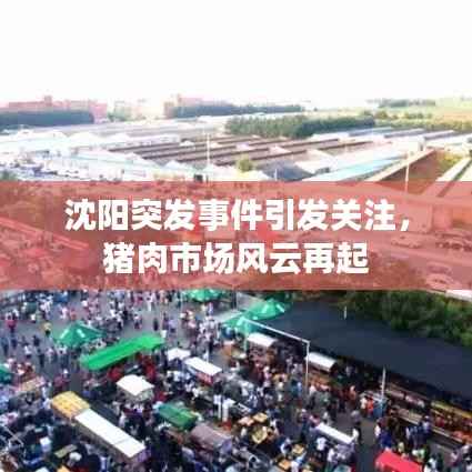 沈阳突发事件引发关注,猪肉市场风云再起