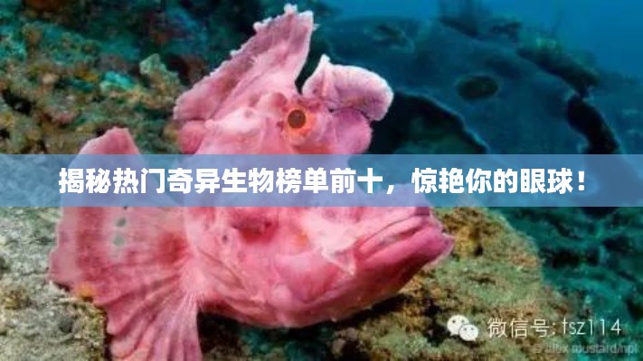 揭秘热门奇异生物榜单前十,惊艳你的眼球!