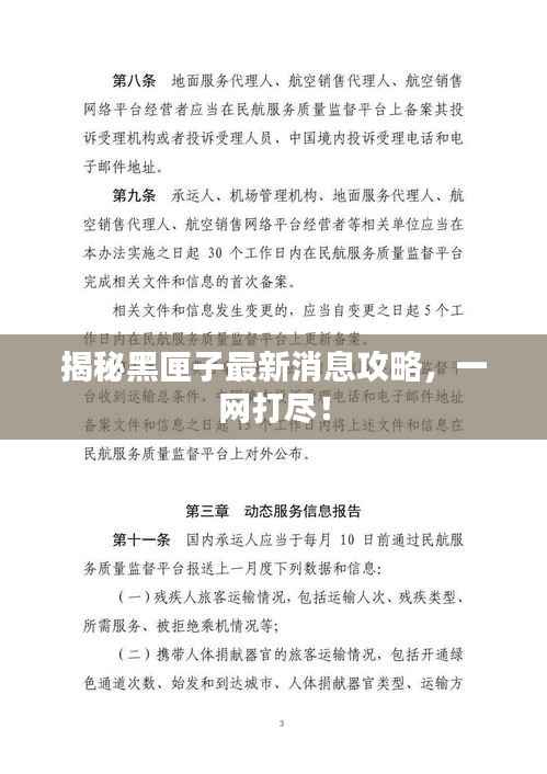 揭秘黑匣子最新消息攻略,一网打尽!