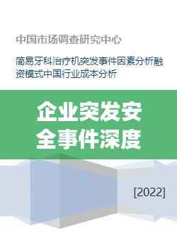 企业突发安全事件深度剖析，案例分析与启示