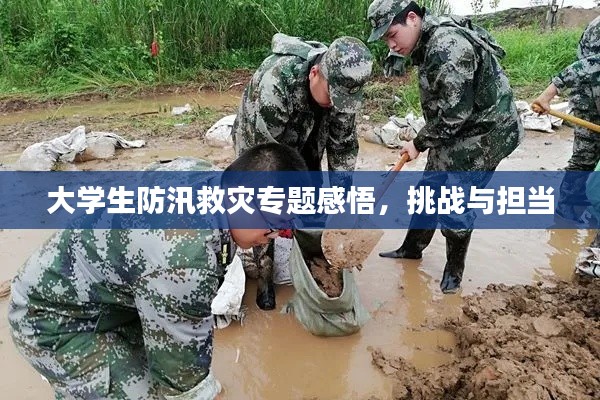 大学生防汛救灾专题感悟,挑战与担当