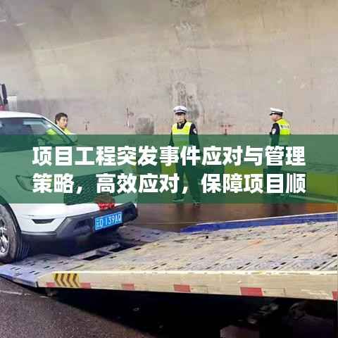 项目工程突发事件应对与管理策略，高效应对，保障项目顺利进行