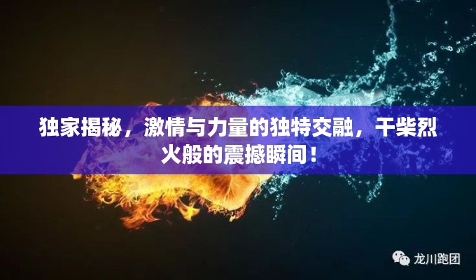 独家揭秘，激情与力量的独特交融，干柴烈火般的震撼瞬间！