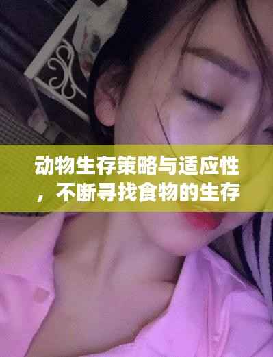 动物生存策略与适应性,不断寻找食物的生存之道