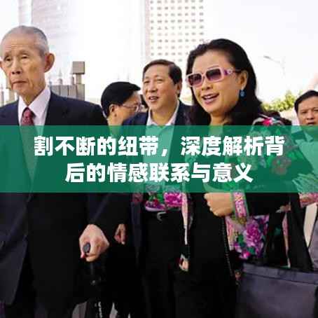 割不断的纽带,深度解析背后的情感联系与意义