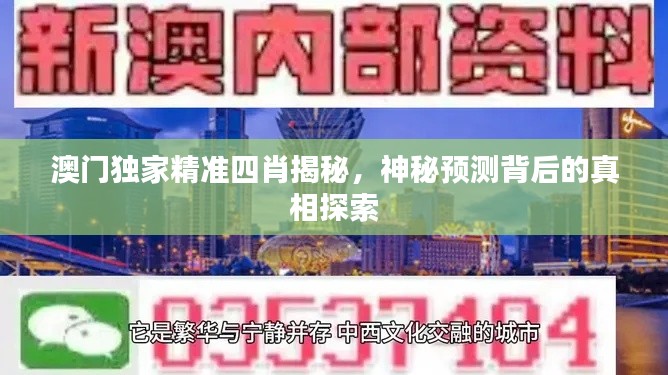 澳门独家精准四肖揭秘,神秘预测背后的真相探索