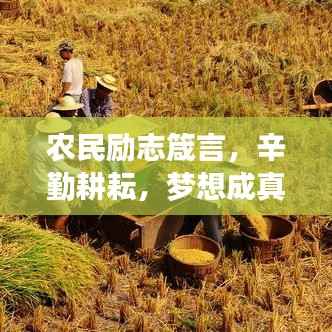 农民励志箴言，辛勤耕耘，梦想成真时刻